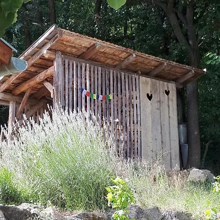 By The Woods