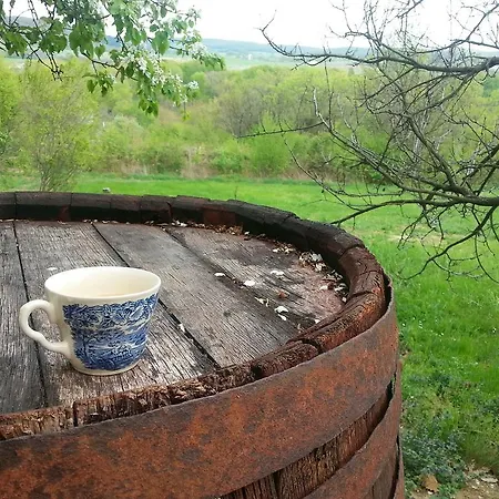 Prázdninový dům By The Woods Balatonhenye