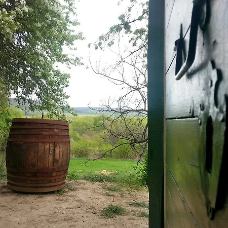 By The Woods Holiday home Balatonhenye