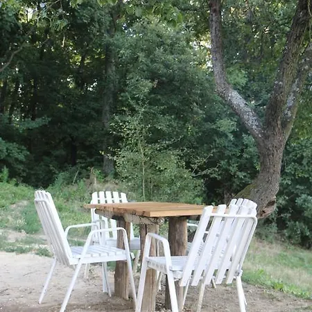 By The Woods