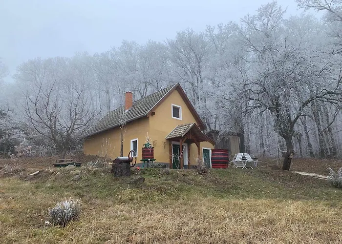 By The Woods Balatonhenye