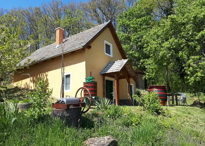 Vakantiehuis By The Woods