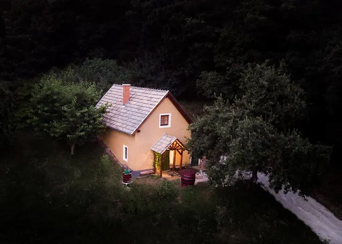 By The Woods Vakantiehuis *