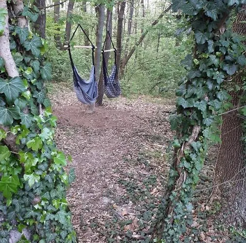 By The Woods Vakantiehuis Balatonhenye