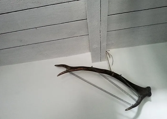 By The Woods * Balatonhenye