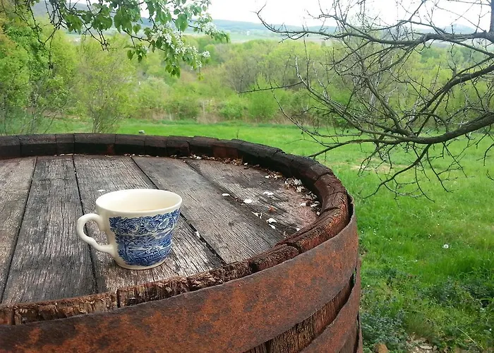 Vakantiehuis By The Woods Balatonhenye