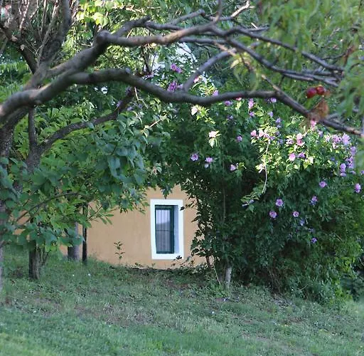 By The Woods Vakantiehuis Balatonhenye